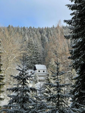 The House Next to the Forest - LAKMAT Nové Hamry